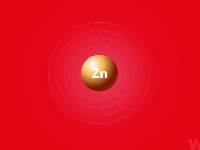 zinc-[Converted]