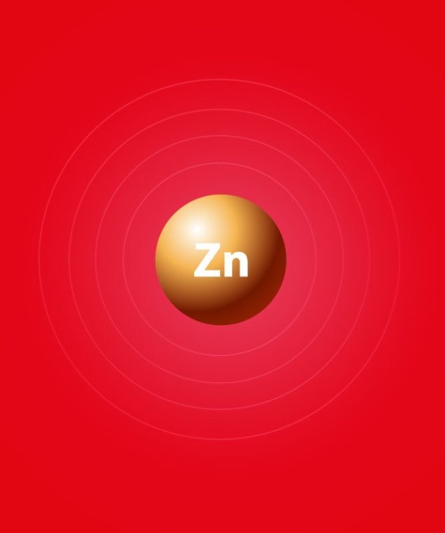 zinc-[Converted]